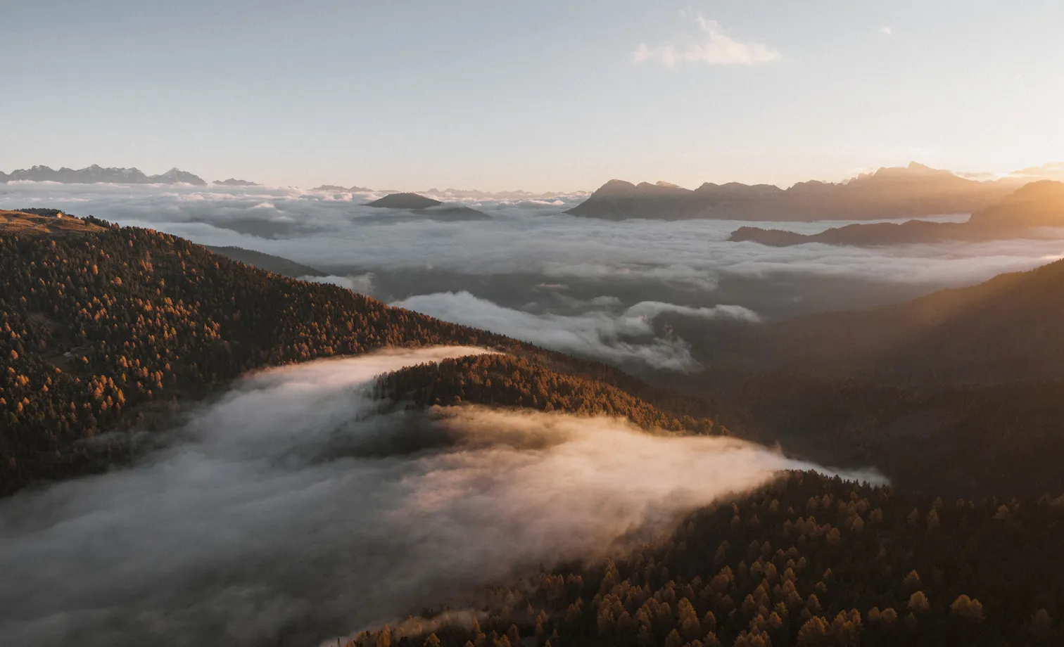 Aerial shot: golden autumn light over larch forests near Luson, dense sea of fog fills the South Tyrolean valleys at sunrise