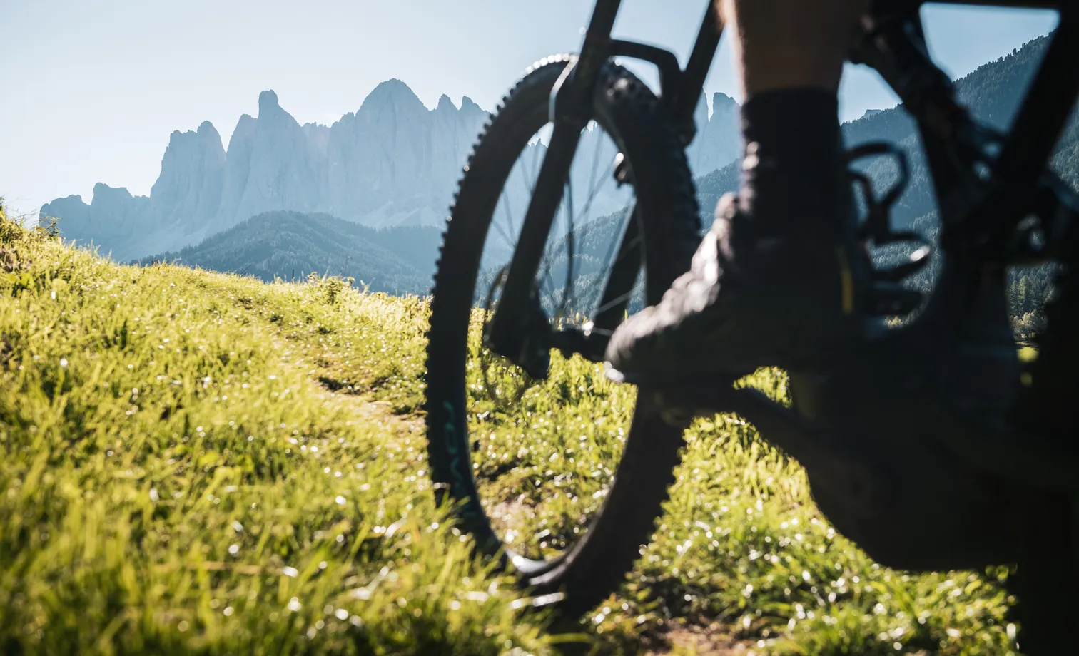 MTB rear wheel in backlight frames Geisler peaks at sunrise on lush green alpine meadow in Villnöß