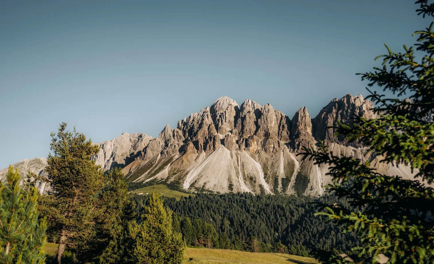 Imposing rock faces of the Geisler group with scree gullies framed by conifers in evening light near Villnöß