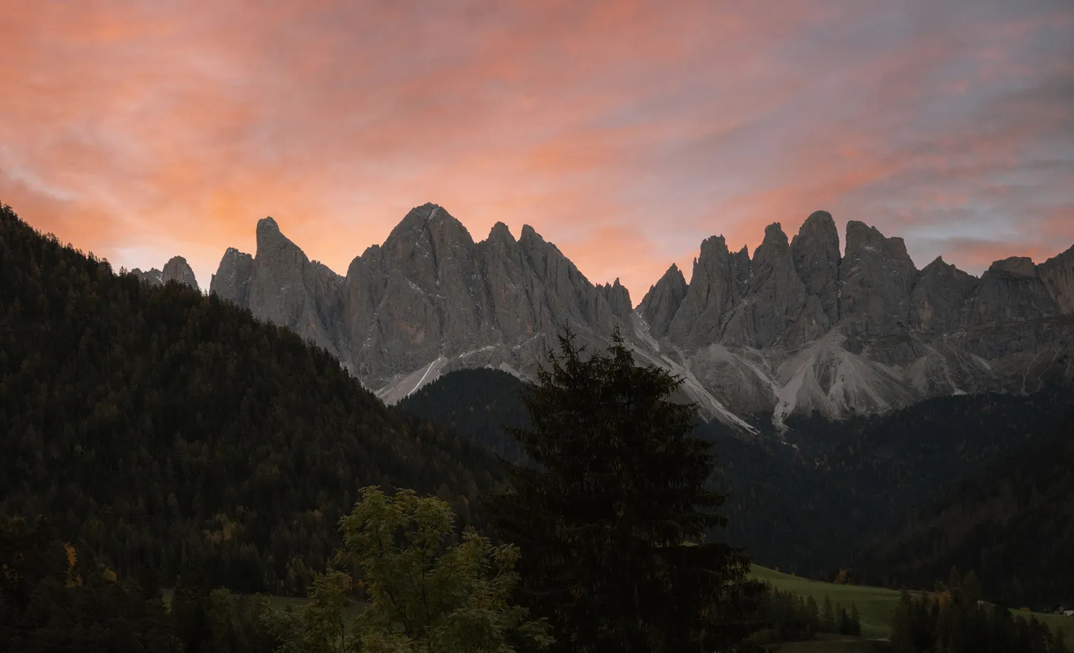 Geisler group Odles in alpenglow at sunset with autumnal larches, Villnöß Dolomites