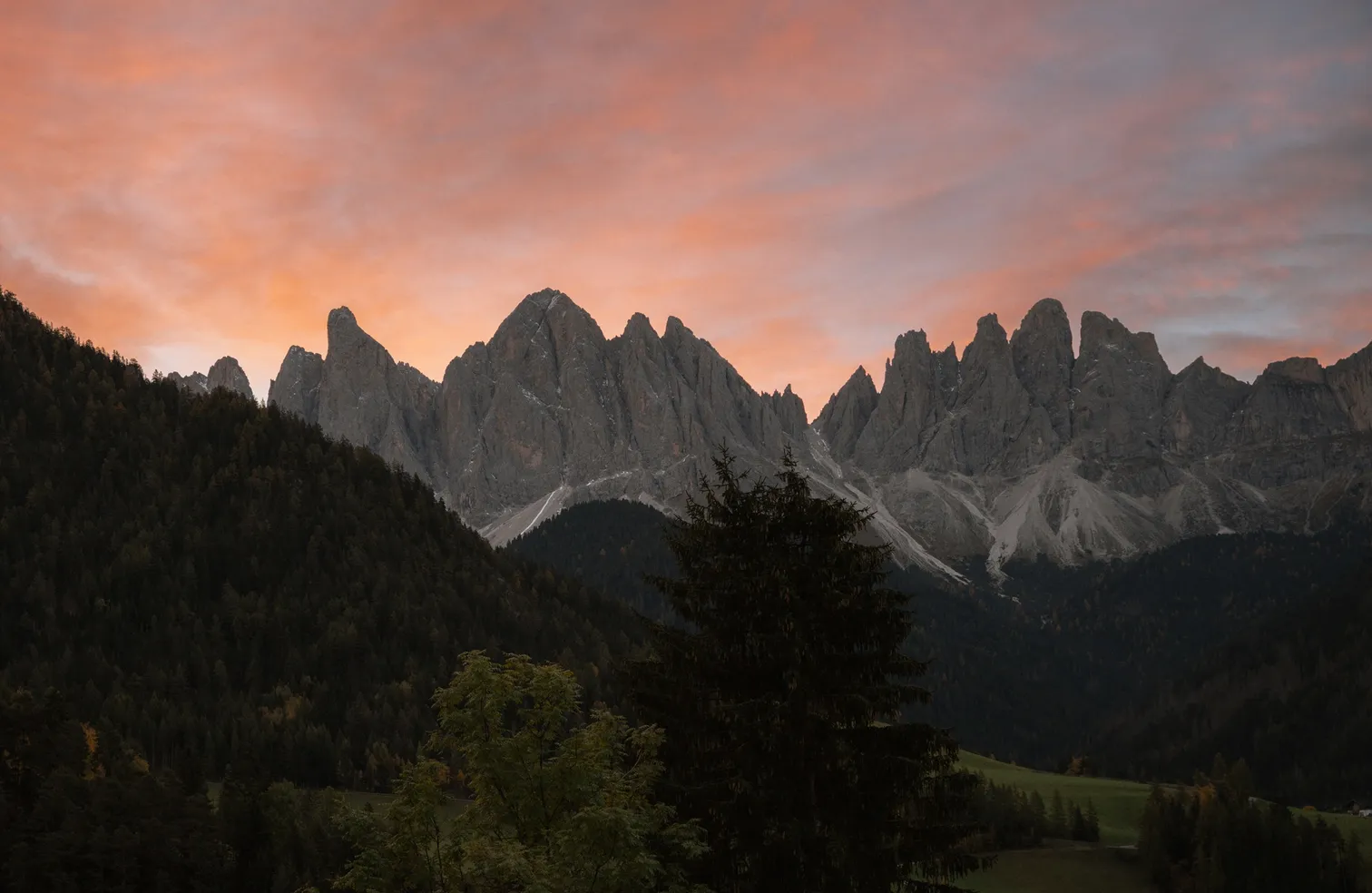 Geislergruppe Odles im Alpenglühen bei Sonnenuntergang mit herbstlichen Lärchen, Villnöß Dolomiten