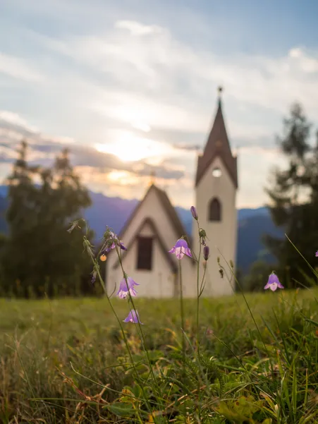 Huber chapel in hamlet Flitt near Luson with purple bellflowers on summer meadow at sunset