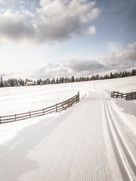 Cross-country ski trail on snow-covered Luson Alp with view of Peitlerkofel in the Odles Dolomites South Tyrol
