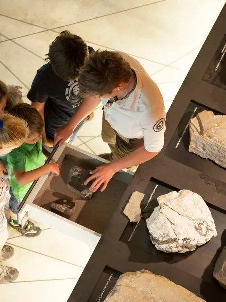 Children discover with a nature park ranger the rock collection in the Puez-Geisler Nature Park visitor center in Villnöß