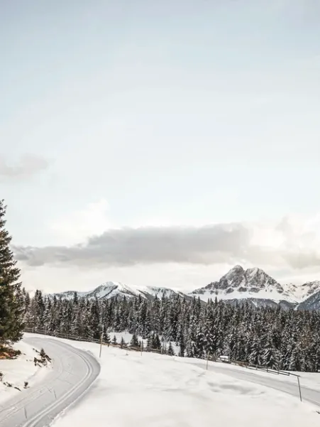 Snow-covered mountain road with curve through fir forest with panoramic view of snow-covered Dolomite peaks in winter light