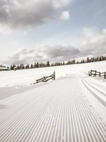 Freshly groomed cross-country ski trail with classic track through snowy landscape along wooden fences and alpine hut under cloudy sky