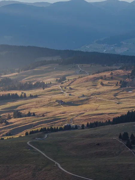 Extensive high alp with autumnal meadows, scattered farms and paths in evening light, view over Luson Alp in South Tyrol