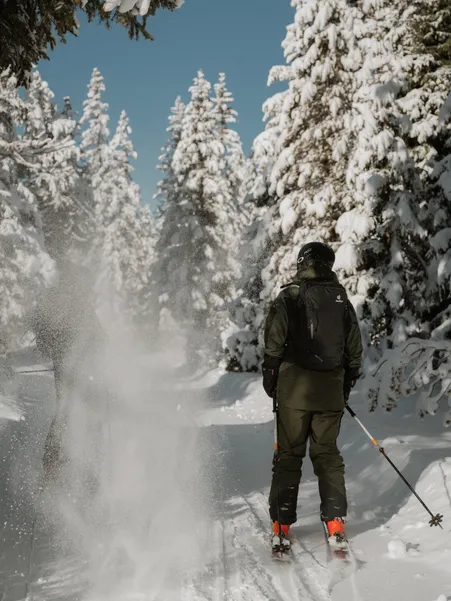 Ski tourer from behind on snow-covered forest path with powder snow from deeply snow-covered firs in sunlight in Luson