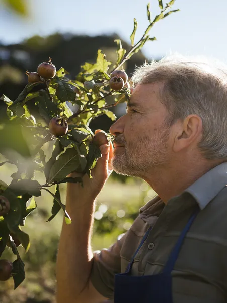 Traditional South Tyrolean farmhouse Torgglerhof with typical wooden facade amid autumnal mountain landscape