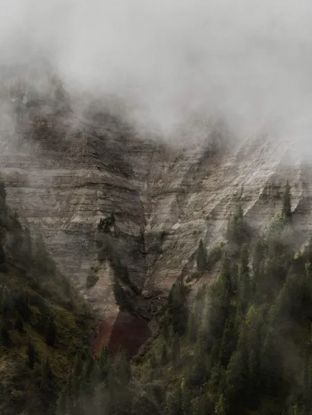 Fog-shrouded dolomite rock face with visible rock layers and conifers in the Villnöß mountains
