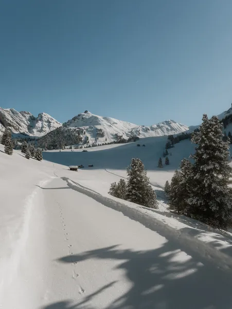 Solitary snowshoe track through untouched deep snow to an alpine hut – brilliant blue sky over the Luson mountains