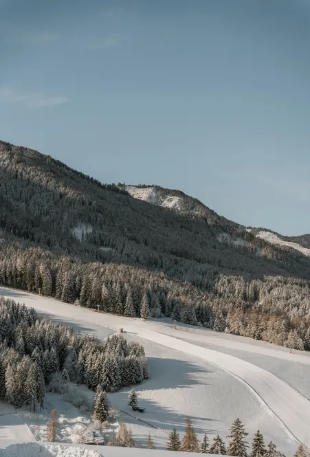 Präparierte Skipiste schlängelt sich durch verschneiten Nadelwald bei Lüsen an einem sonnigen Wintervormittag mit blauem Himmel